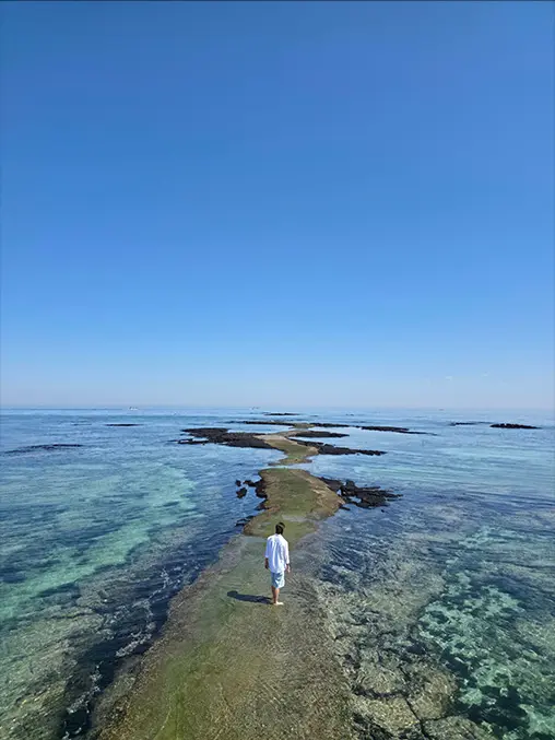 Kép mezőn álló lovakról a Galaxy Z Fold7 200 megapixeles hátlapi kamerájával. A színek és a részletek élénkek.