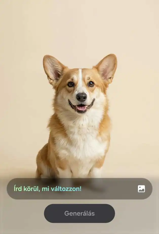 Corgi kutya képe szerkesztőfelületen, szövegbeviteli mezővel.