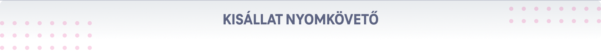 Kisállat nyomkövető