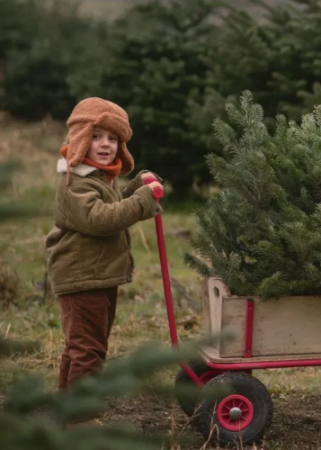 Egy kisfiú egy kis piros-krémszínű kézikocsival szállít egy frissen kivágott, zöld karácsonyfát egy karácsonyfaültetvényen. A kisfiú barna színű, fülvédős sapkát, zöld kabátot és barna nadrágot visel. Arca a kamerába nézve mosolyog.