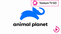 csatlogo_animal_planet TTVGO ARC