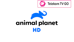 csatlogo_animal-planet-hd_ttvgo.png