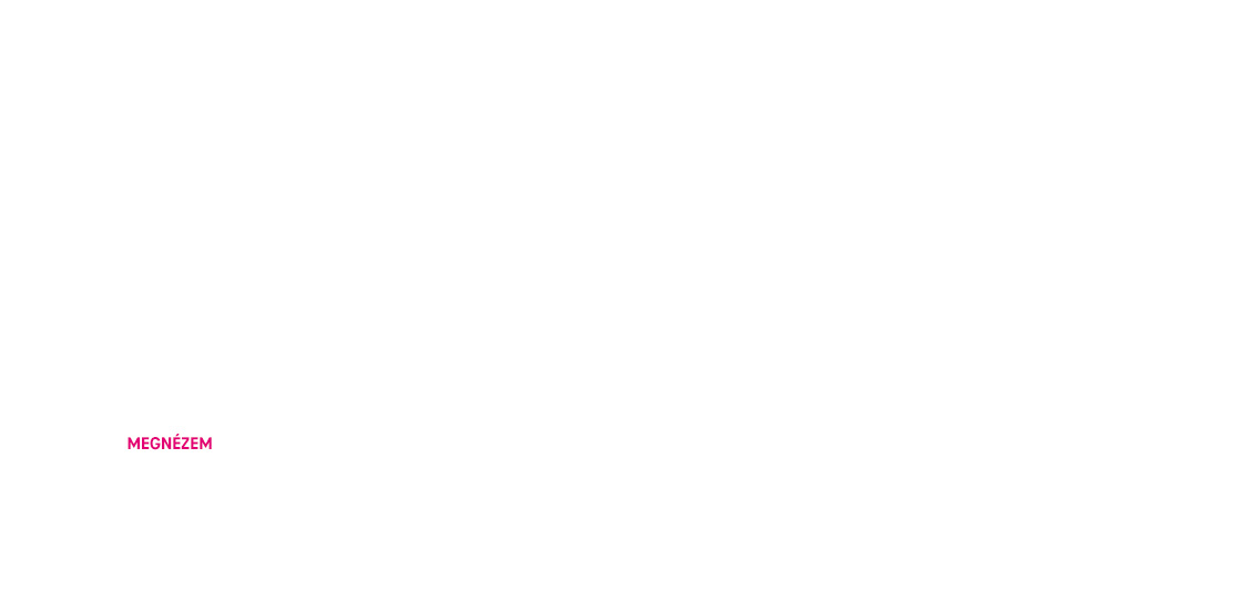 Köss havidíjas utasbiztosítást a Mobilvásárlás alkalmazásban és utazz az az év bármely napján!