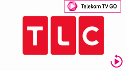 csatlogo_tlc TTVGO ARC