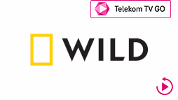 csatlogo_natgeo-wild_ttvgo_arc.png