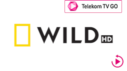 csatlogo_natgeo-wild-hd_ttvgo_arc.png