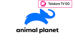 csatlogo-animal-planet_telekomtvgo.png