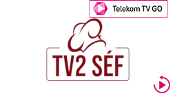 csatlogo_tv2-sef_ttvgo_arc.png