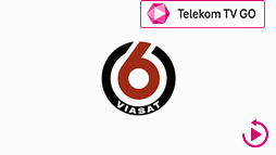 csatlogo_viasat6 TTVGO ARC