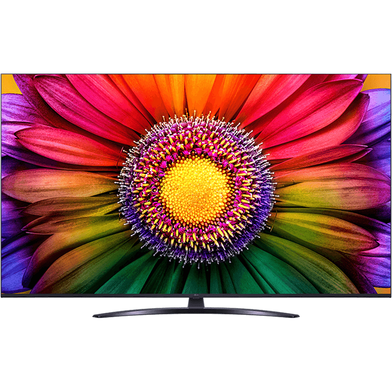 TV LG 65UR81003LJ