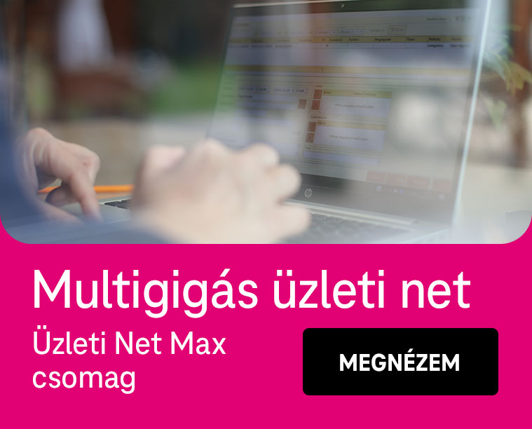 Multigigás üzleti net